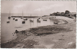 ANGOULINS SUR MER  LE PORT - Angoulins