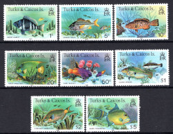 Turks & Caicos Islands 1978-83 Fish - 1981 Imprint Date - P.12 - Set MNH (SG 514B-528B) - Turks And Caicos