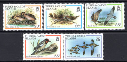 Turks & Caicos Islands 1980 Birds Set LHM (SG 592-596) - Turks And Caicos