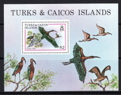 Turks & Caicos Islands 1980 Birds MS LHM (SG MS597) - Turks And Caicos