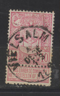 COB 69 Oblitération Centrale VIELSALM - 1894-1896 Esposizioni