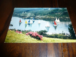 CARTE POSTALE MODERNE CPM BRETAGNE SUD FINISTERE MOELAN SUR MER REGATES AU PORT DE MERRIEN ECRITE AVEC TIMBRE 1972 - Moëlan-sur-Mer