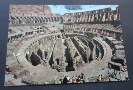 Roma - Interno Colosseo - # 551 - Colosseum