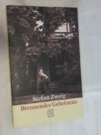 Brennendes Geheimnis : Erzählung. - Andere & Zonder Classificatie