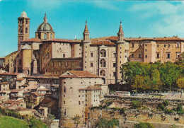 Cartolina Urbino - Panorama - Urbino