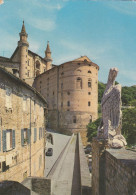 Cartolina Urbino - I Torricini Visti Da Porta Valbona - Urbino