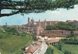 Cartolina Urbino - Panorama - Urbino