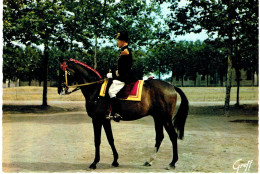 SAUMUR-OFFICIER DU CADRE NOIR- - Chevaux