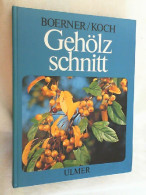 Gehölzschnitt : D. Schneiden D. Ziergehölze In Garten U. Park. - Natura