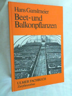 Beet- Und Balkonpflanzen. - Naturaleza