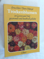 Trockenblumen : In Garten U. Feld Gesammelt U. Kunstvoll Gestaltet. - Natuur