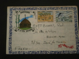 NOUVELLE CALEDONIE NEW CALEDONIA LETTRE ENVELOPPE COURRIER DESSIN ORMAND IMPRIMERIE JPJ TAHITIEN MELANESIEN JAVANAIS - Storia Postale