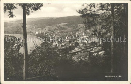 41556928 Waldshut Tiengen Rhein Rheinpanorama Waldshut - Waldshut-Tiengen