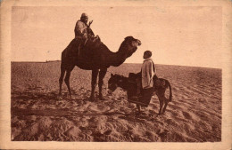 N°121593 -cpa Gartaïa -discussion Intéressée- - Ghardaia