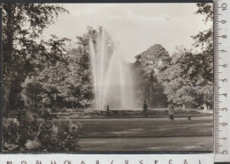 Fürstenwalde / Spree - Stadtpark Nicht Gelaufen ( AK 4413) Günstige Versandkosten - Fürstenwalde