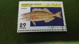 TIMBRE  SAHARA OCC R A S D 1995 POISSON - Altri - Africa