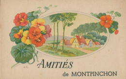 50 MONTPINCHON - AMITIES DE MONTPINCHON - Andere & Zonder Classificatie