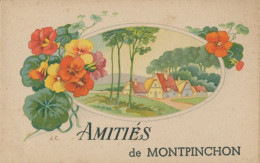 50 MONTPINCHON - AMITIES DE MONTPINCHON - Andere & Zonder Classificatie