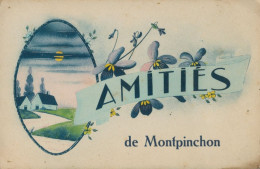 50 MONTPINCHON - AMITIES DE MONTPINCHON - Andere & Zonder Classificatie