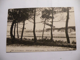 Delcampe - A543 . CPA. 40. MIMIZAN-les-BAINS. (Landes).Vue à Travers Les Pins De La Côte Sud. Beau Plan. écrite & Voyagée 1927 - Mimizan