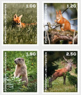 LIECHTENSTEIN 2024 FAUNA Animals FOX SQUIRREL DEER - Fine Set MNH - Nuevos