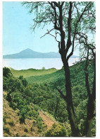 BARRANCO DE PAJARITO, CON EL TEIDE AL FONDO.-  LA GOMERA / ISLAS CANARIAS.- ( ESPAÑA ) - Gomera