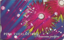 S. Africa - Telkom - Pink Everlasting (With Notch), Exp. 04.2001, Chip SO3, 100R, 20.000ex, Used - Südafrika