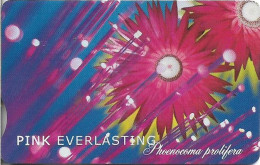 S. Africa - Telkom - Pink Everlasting (With Notch), Exp. 10.2001, Chip SO3, 100R, 20.000ex, Used - Sudafrica