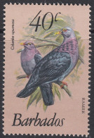 S00143/ Barbados 1979 SG (631b)  40c Red Necked Pigeon (Birds) MNH - Barbados (1966-...)