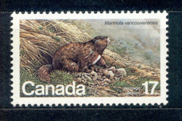 Canada - Kanada 1981, Michel-Nr. 794 ** - Unused Stamps