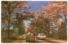 TRINIDAD & TOBAGO - POUI TREES ON ROAD TO PIARCO / OLD CARS / THEMATIC STAMP-MARACAS BAY-1981 - Trinidad