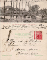 ARGENTINA 1904 POSTCARD SENT TO ARROYO - Brieven En Documenten