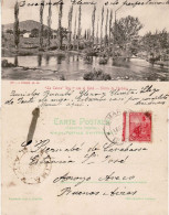 ARGENTINA 1904 POSTCARD SENT TO ARROYO - Covers & Documents