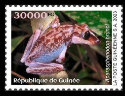 GUINEA 2023 - STAMP 1V - TOXIC SPECIES - FROGS FROG GRENOUILLES GRENOUILLE - MNH - Kikkers