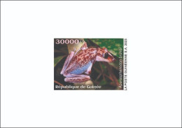 GUINEA 2023 - DELUXE PROOF - TOXIC SPECIES - FROGS FROG GRENOUILLES GRENOUILLE - Kikkers