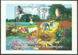 India Biodiversity 2010 Miniature Sheet Mint Good Condition Back Side Also (pms82) - Unused Stamps