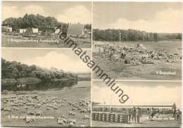 Grimma - Naherholungsgebiet Thümmlitzsee - Amalienburg - Muldenbrücke - Terrasse Am See - Foto-AK Grossformat Gel. 1979 - Grimma