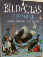 Bildatlas Der Vögel : Entdecken, Vergleichen, Wissen Erweitern. - Tierwelt