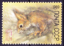 Soviet Union 1989 Mint No Gum, Eurasian Red Squirrel, Zoo Relief Fund, Rodents - Rongeurs