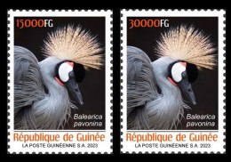 GUINEA 2023 SET 2V - BIRDS OISEAUX - BLACK CROWN CRANE CRANES - MNH - Aves Gruiformes (Grullas)