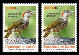 GUINEA 2023 SET 2V - BIRDS OISEAUX - WOODPECKER PIC - MNH - Climbing Birds