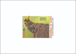 GUINEA 2023 DELUXE PROOF - BIRDS OISEAUX - DOVES DOVE PIGEON PIGEONS - Palomas, Tórtolas