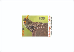 GUINEA 2023 DELUXE PROOF - BIRDS OISEAUX - DOVES DOVE PIGEON PIGEONS - Pigeons & Columbiformes