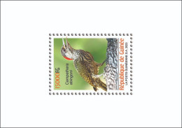 GUINEA 2023 SHEET 1V - BIRDS OISEAUX - WOODPECKER PIC - LUXE MNH - Climbing Birds