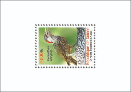 GUINEA 2023 SHEET 1V - BIRDS OISEAUX - WOODPECKER PIC - LUXE MNH - Pics & Grimpeurs