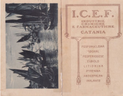 Calendarietto - Industrie Chimiche E Farmaceutiche - Catania  - Anno 1918 - Tamaño Pequeño : 1921-40