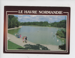 Le Havre Normandie - La Forêt De Montgeon, Le Lac (cp Vierge N°168 Mage) - Forêt De Montgeon