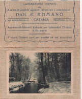 Calendarietto - Laboratorio Chimico - Dott.e.romano - Catania - Anno 1924 - Petit Format : 1921-40