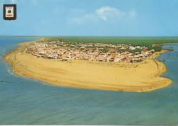 HUELVA, PLAYA DE PUNTA UMBRIA, VISTA AEREA  COULEUR  REF 14093 - Huelva