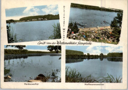 5238 HACHENBURG - DREIFELDEN, Dreifelder Weiher / Heidenweiher / Hoffmannsweiher - Hachenburg